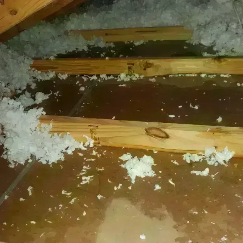 Attic Water Damage in Rainsville, AL