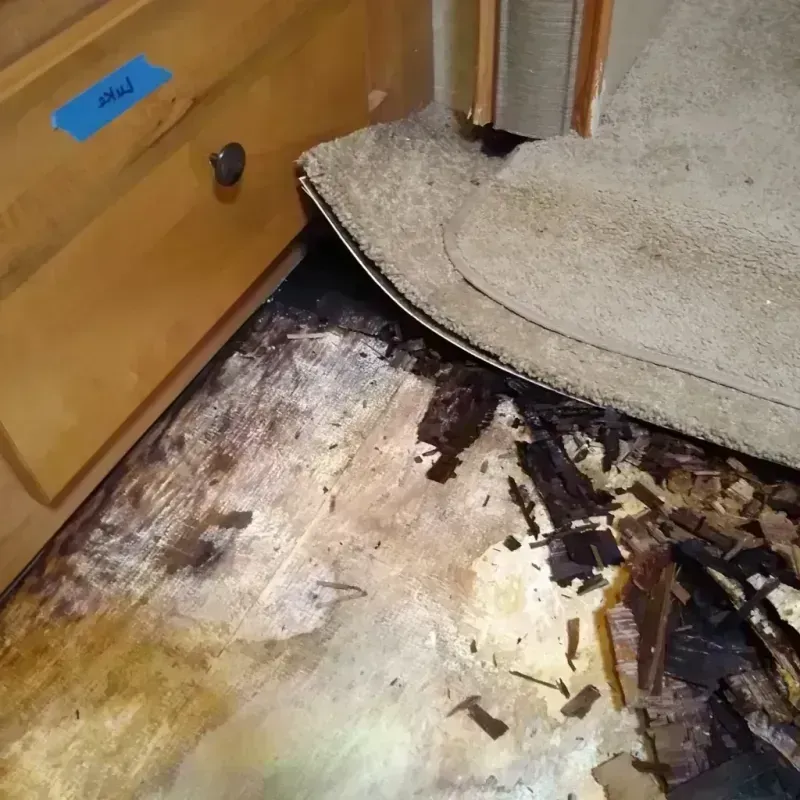 Wood Floor Water Damage in Rainsville, AL